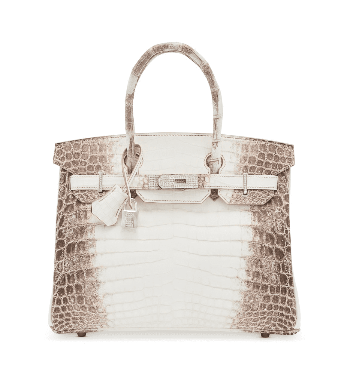 Hermés Himalaya Birkin.