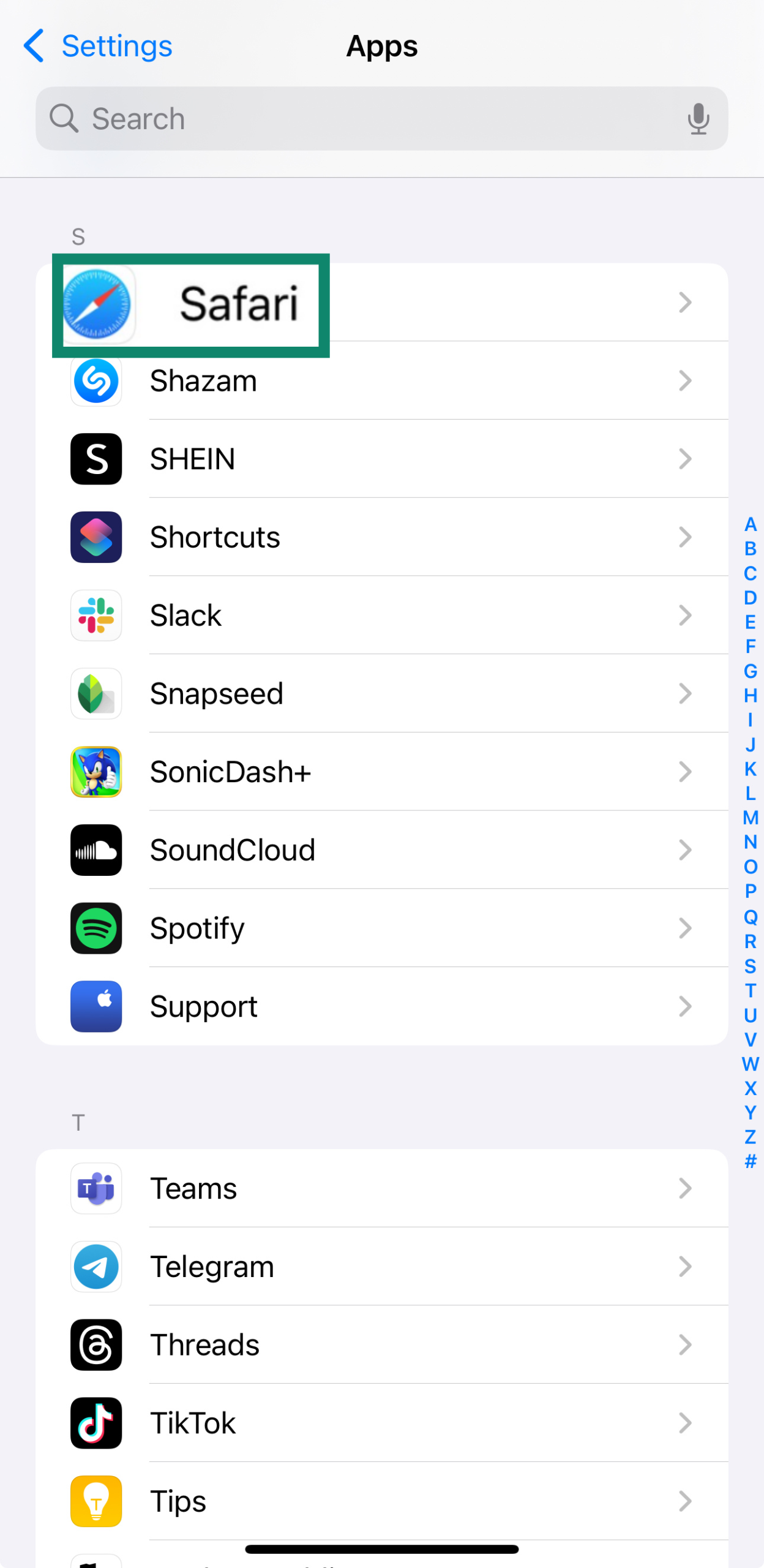 The Safari tab located within an iPhone's Settings/Apps menu.