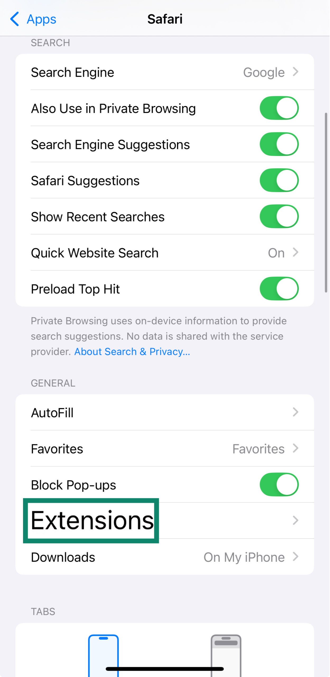 The Safari Extensions menu on an iPhone.