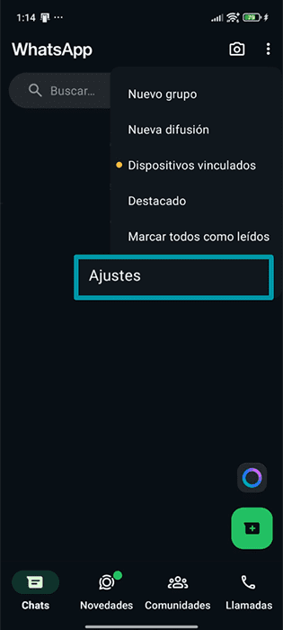A screenshot of the WhatsApp app, showing the menu and the Settings button.