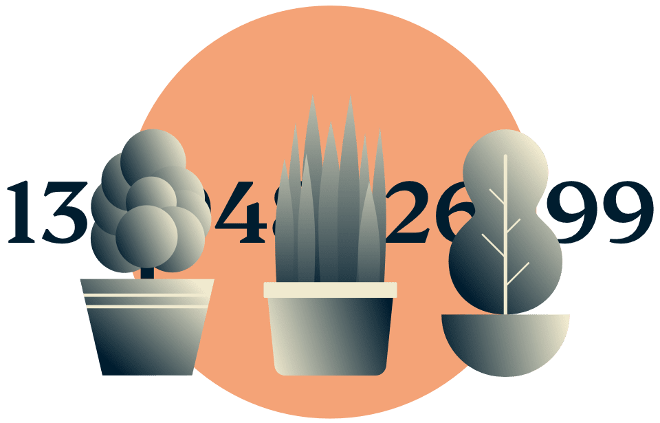 Masker IP-adressen din: Potteplanter som skjuler en IP-adresse.