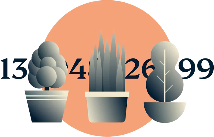 Trois plantes couvrant une ligne de chiffres.