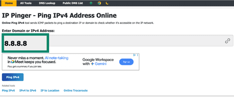 Ping test on DNSChecker.org.