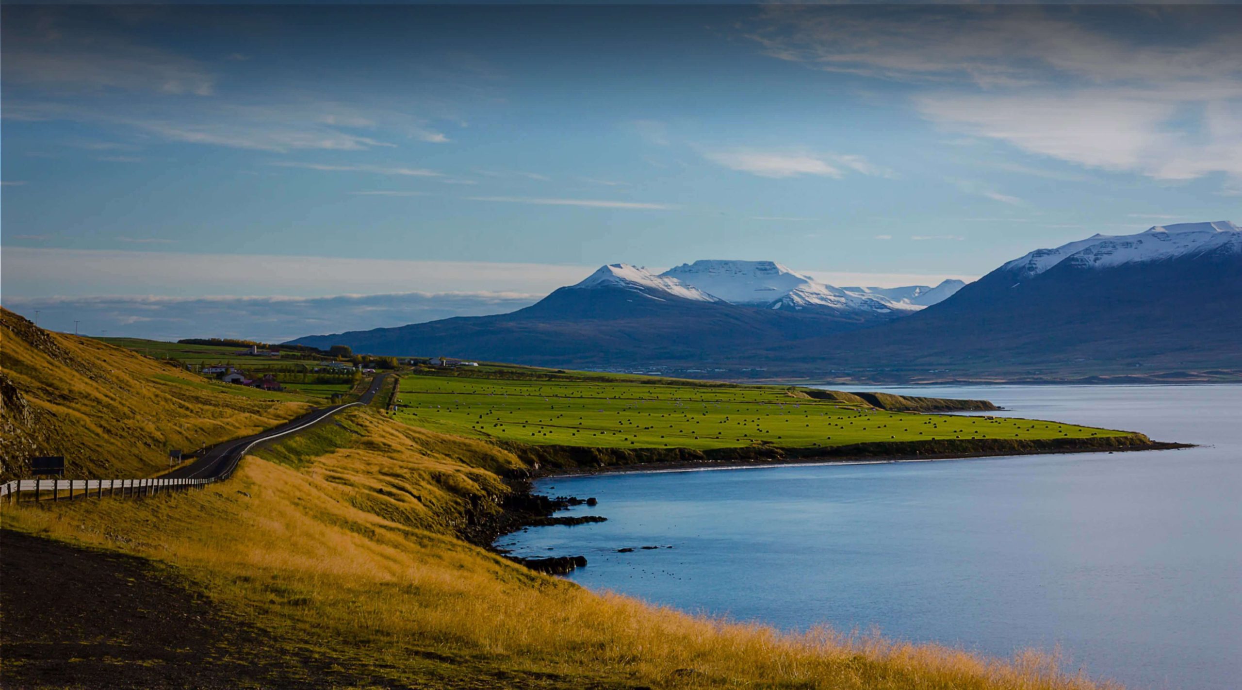 아이슬란드 VPN 서비스