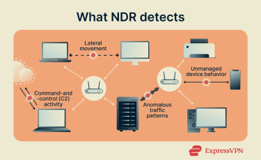 A list of things that NDR detects