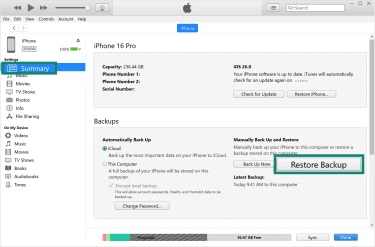 Restore Backup button on iTunes.