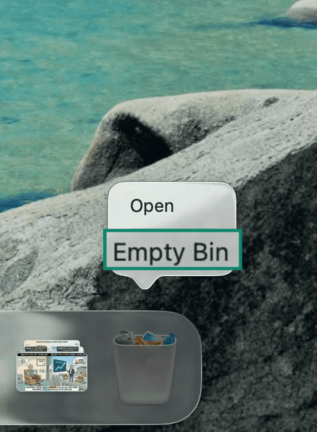 Empty Bin permanently deletes everything in the bin.