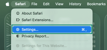 Safari's system bar with the Settings option highlighted.