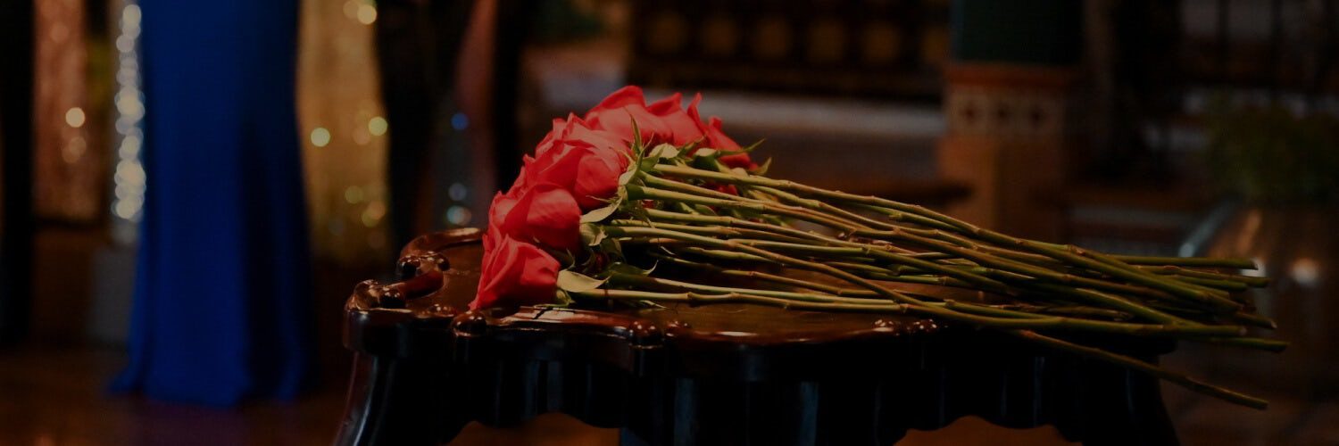 The Bachelor temporada 29